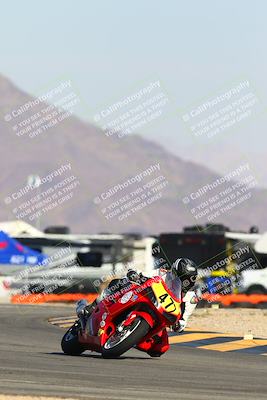 media/Jan-14-2024-SoCal Trackdays (Sun) [[2e55ec21a6]]/Turn 16 Set 1 (1115am)/